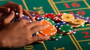 FAQ support area explaining pp vip bet navigation and privacy