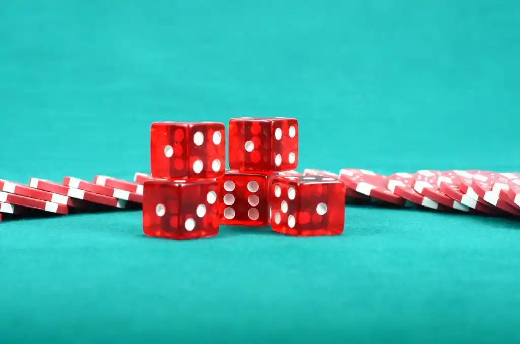 Betting terms and mobile guide cards organized for adults